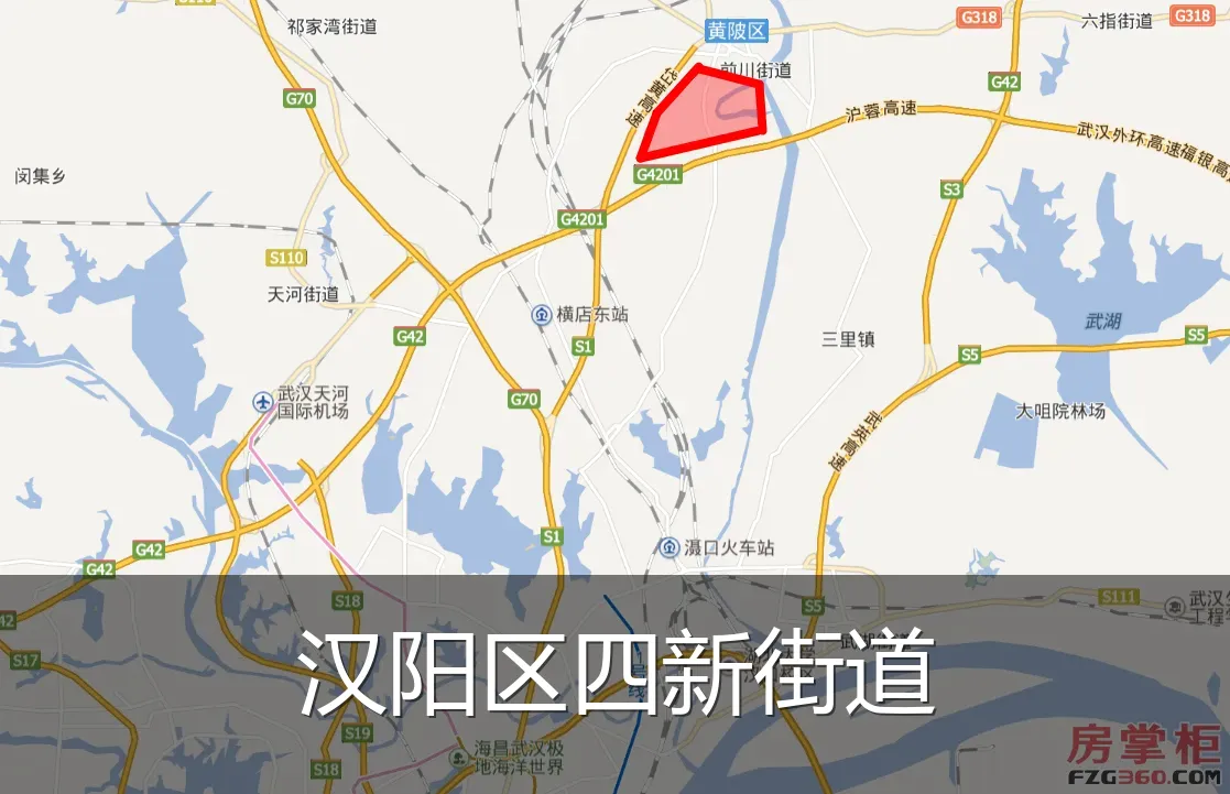 汉阳区四新街道
